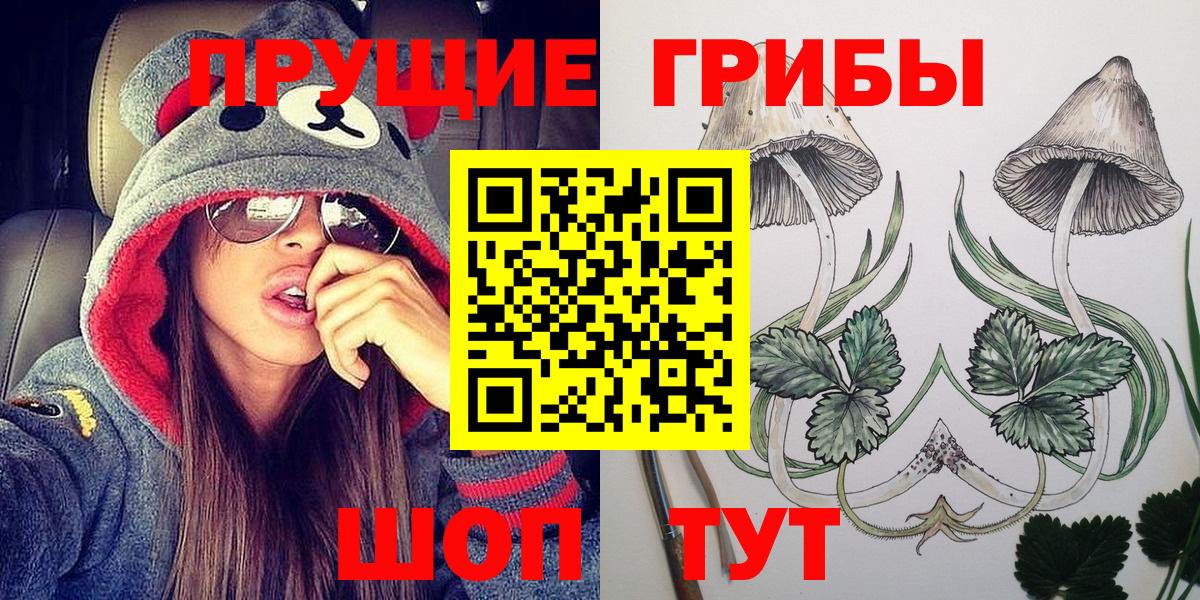 Галлюциногенные грибы GOLDEN TEACHER  Галлюциногенные грибы Psilocybe  Нижний Новгород  Вход с VPN 
